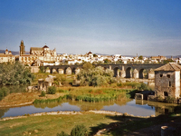 A Roman Bridge in Cordoba